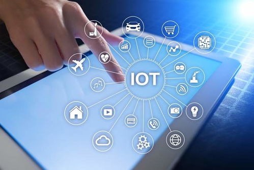 网络与信息安全软件开发 编程语言的选择与应用场景