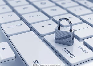 美国网络安全专业 聚焦网络与信息安全软件开发，解析未来就业前景